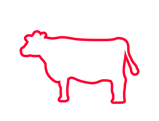 Beef
