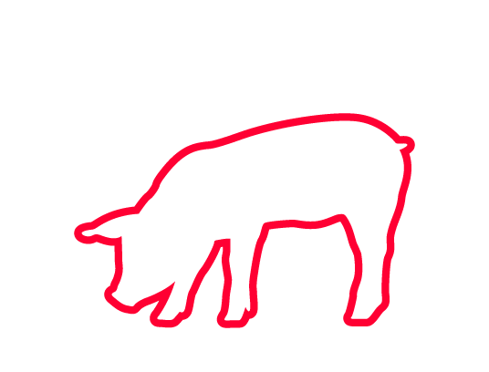 Pork